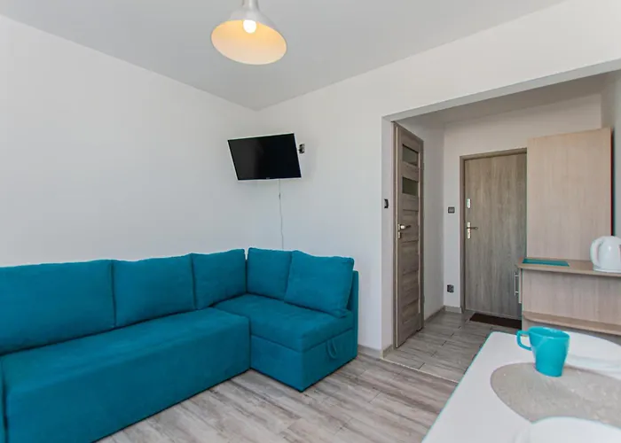 Aisza- Idealny Dla Rodzin, Dzieci Do 2 Lat Bezpl Sala I Plac Zabaw, Sauna, Jacuzzi ,bilard Jastrzebia Gora